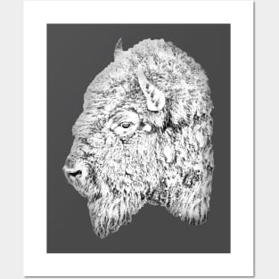 American Bison Posters and Art